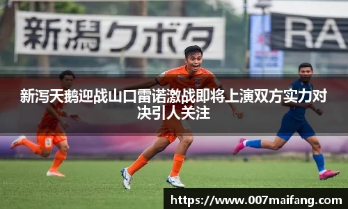 乐鱼体育官网